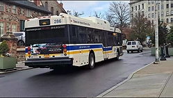 VideoCapture_20221218-082951-1.jpg