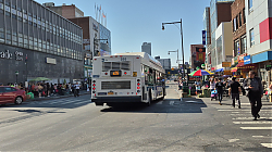 20250629_092447.jpg