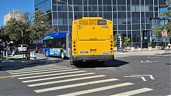 20250831_095036.jpg