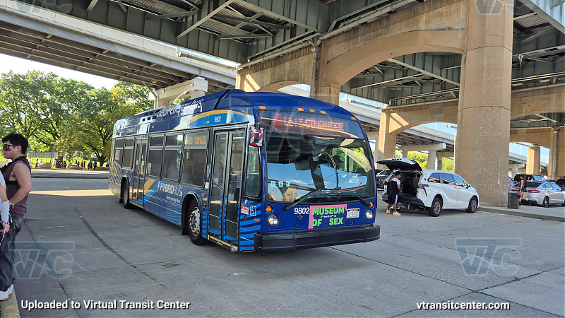 New York City Transit Bus #9802 on the X80
With Let's Go Knicks P/R code
