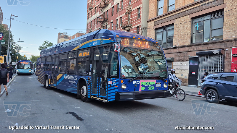 New York City Transit Bus #9802 on the X80
With Let's Go Knicks P/R code
