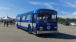 ff312bc1-a74a-4d18-8bca-cde84d22a630-1_all_17930.jpg