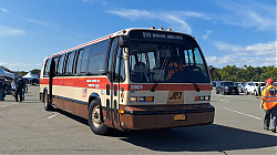 ff312bc1-a74a-4d18-8bca-cde84d22a630-1_all_17933.jpg