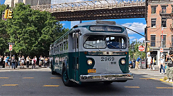 ff312bc1-a74a-4d18-8bca-cde84d22a630-1_all_18316.jpg