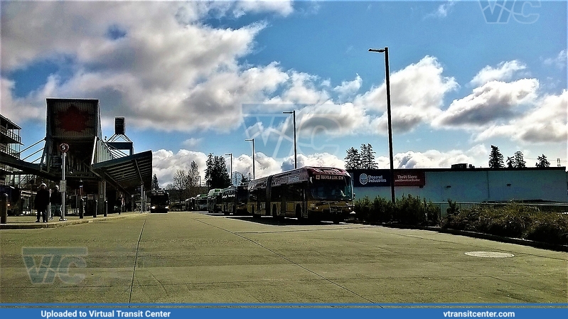 Buses at the Federal Way Transt Center
Taken March 2017, I took this shot when I was crossing the street. Please do not do this.
