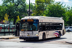 55508211836_608deb122b_o.jpg