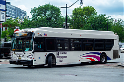 DSC_1077.jpg
