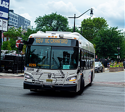 DSC_1079.jpg