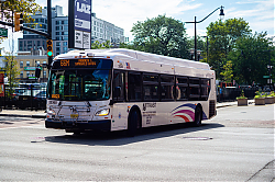 DSC_1321.jpg