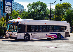 DSC_1334.jpg