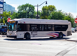 DSC_1336.jpg