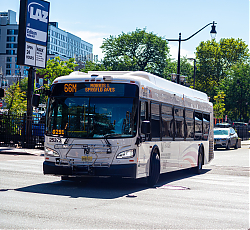 DSC_1338.jpg