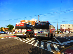 P1010702.jpg