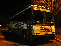P1080659.jpg