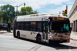 DSC_1317.jpg