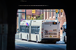 DSC_1405.jpg