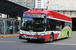 IMG_4731.jpeg