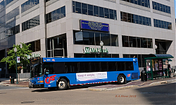 cat-2603---2nd-market---7-2-18_41566244720_o.jpg