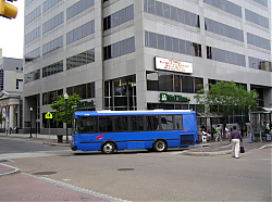 cat2102-2ndandmarket-5-7-10_50951971677_o.jpg