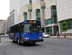 cat2103-marketst-5-7-10_50951971672_o.jpg