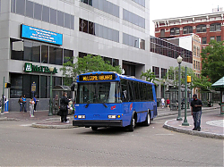 cat2111-marketand2nd-5-7-1-0_50951875901_o.jpg