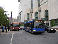 cat2506-colt406-marketstreetbystati_50951728932_o.jpg