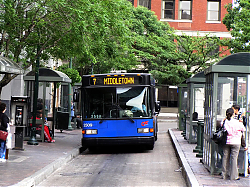 cat2509-2ndandmarket-5-7-10_50951176308_o.jpg