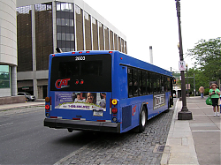 cat2603-marketst-5-7-10_50951879396_o.jpg