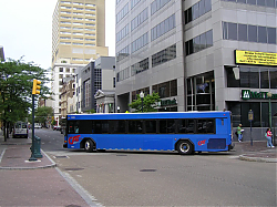 cat2623-marketand2nd-5-7-10_50951974907_o.jpg