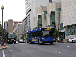 cat2802-rabbit410-marketstreetbyhbg_50950928963_o.jpg