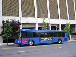 cat2802a-marketstreetbystation-5-7-_50951879336_o.jpg