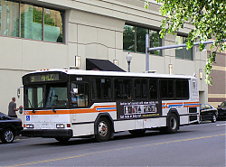 cat9501-chestnutandmarket-5-7-10_50951740752_o.jpg