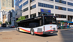 lt-501back---2nd-market---7-2-18_43326613202_o.jpg