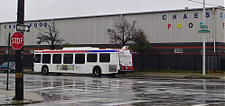 5479---american-dauphin---3-31-17_33638645161_o.jpg