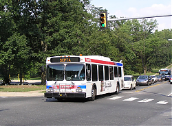 5557-haverfordave-lansdowneave-7-17_33967338365_o.jpg