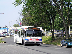 5570drk-rooseveltblvd-vannast-5-29-_33582869640_o.jpg