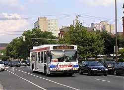 5678-walnutat42nd-7-17-08_33967338265_o.jpg