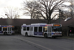 8044-chestnuthillloop-3-20-09_33124152064_o.jpg