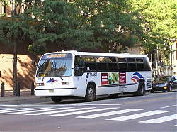 njt1203-marketst-9-10-05_48096204376_o.jpg