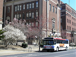 3427b-springgardenst-3-30-08_32937341704_o.jpg