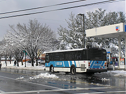 ro5372-pineybranchrd-2-12-06_47048048812_o.jpg