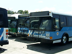 variousride-onbuses_46376609424_o.jpg