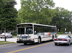 dart408-collegeave-7-10-08_40135227580_o.jpg