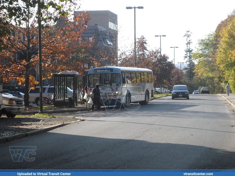 Tompkins Consolidated Area Transit 911
A 1991 Orion I (model 1.507)
Cornell University in Ithaca, NY.

October 26, 2008
Keywords: TCAT;OrionI