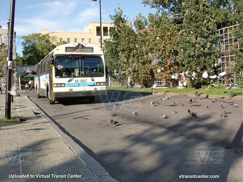 STM Montreal 1992 MCI classic 12-067 and birds
STM 12-067 seen pulling up to the 97 Mont Royal bus stop at Mont Royal Metro among a flock of seagulls. Needless to say, i ran.
