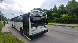 20190624_175626_HDR.jpg