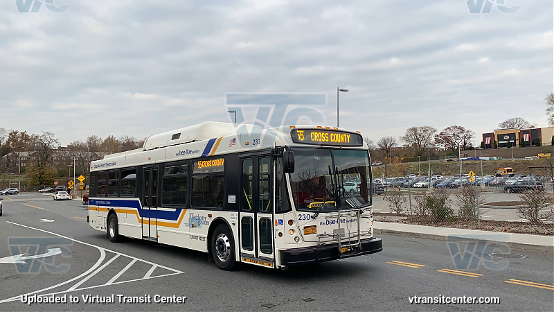 Westchester Bee-Line 230 on Route 55
Route 55 Cross County

