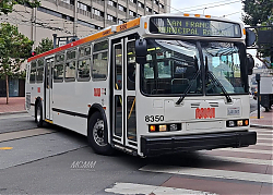 265481.jpg