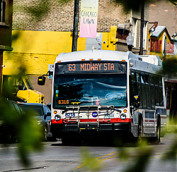 DSC_0073_28429.jpg
