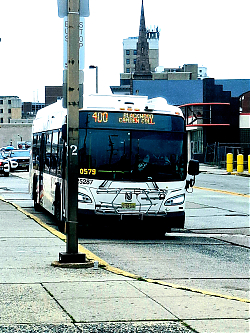 20260922_1230195B15D.jpg